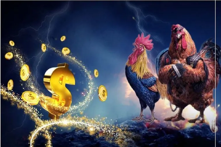 Đá Gà K9WIN Cung Cấp Trận Đấu Chân Thực Nhất Từ K9WIN 2 Đá Gà K9WIN Cung Cấp Trận Đấu Chân Thực Nhất Từ K9WIN